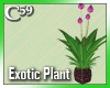 [C59] Exotic Plant Purpl