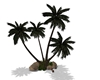 Palm Tree 4