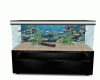 KK Animated Aquarium