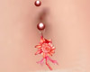 Shell Belly Piercing