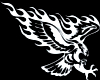 Flaming Eagle back tat