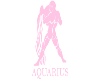 Aquarius Headsign Pink