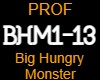 PROF = BHM1-13