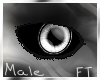 (M) Silver Eyes [FT]