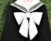 Black School
