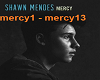 Mercy  -  Shawn Mendes