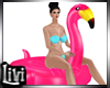 Flamingo Float V2