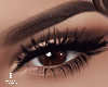 $Sexy Lashes