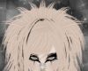 ✩ blonde floof