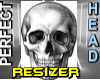 Perfect HEAD Resizer