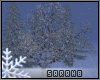 ;) Winter Tree 2023