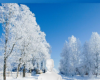 Winter country road bg