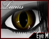 LMC Poxy's Eyes [RQ]