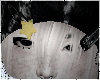 ☆n. paopu blonde