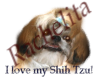 I love my shih tzu