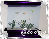 {SP}Purple Anim Fishtank