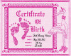 baby faith's birth cert.