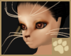 ~AM~ Cicikava Whiskers