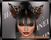 Cut Leopard Ears Animal