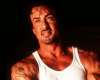 Sly Stalone