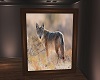 coyote framed