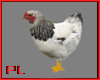 PL Animated Chicken
