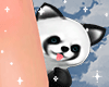 Roccon Cutie