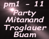 Troglauer Buam Party