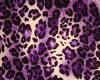 purple cheetah