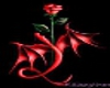 Rote Rosen Herz sitze