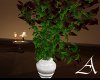*Ombeline* Vase plant