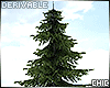 !T! Spruce Tree
