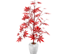 RK Red Plant