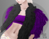 +Violet Fur+