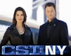 CSI:NY Television