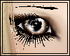 Brown Teal 2Tone Sparkle