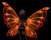 Animated Butterfly