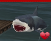 Mm Raft Shark