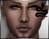 Raven Skin /Male
