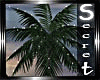 [VS] Palm Tree Lights