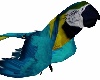 !!! Anim8d Parot Only