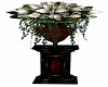 Royal Vamp Roses Pedestl