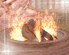 BEACH FIRE 6pose