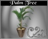 CN C2u Palm Tree
