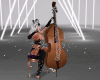 Animated Contrabass
