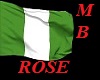 Nigeria flag shirt