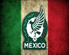 Mexico cap tricolor