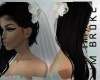 VEIL