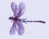 DJLight Purple Dragonfly