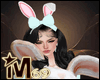 Easter Bunny Cuddle